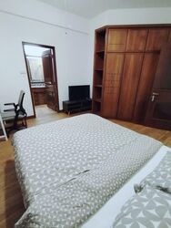 Dover Parkview (D5), Condominium #574748821